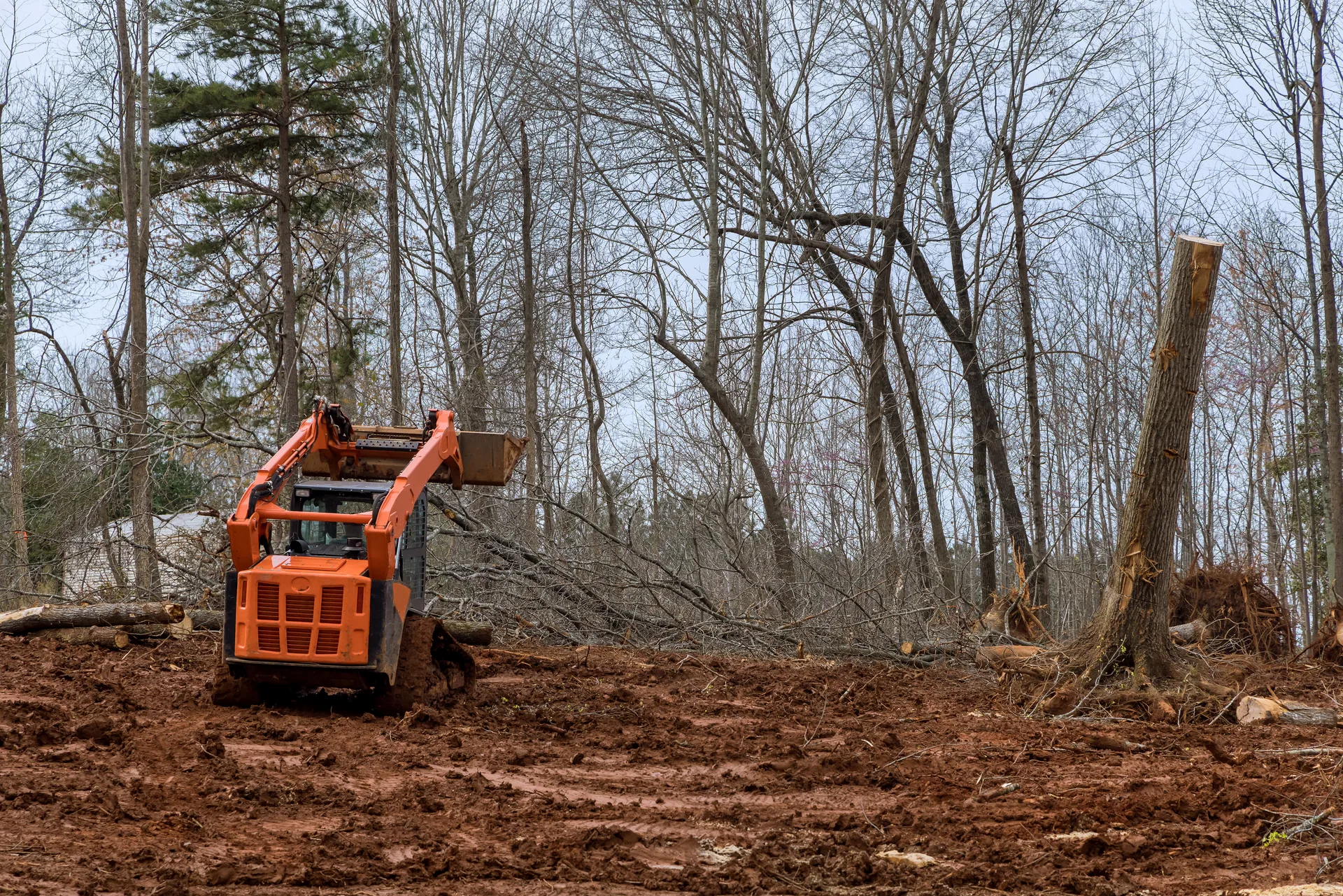 Orange track loader land clearing red clay lot