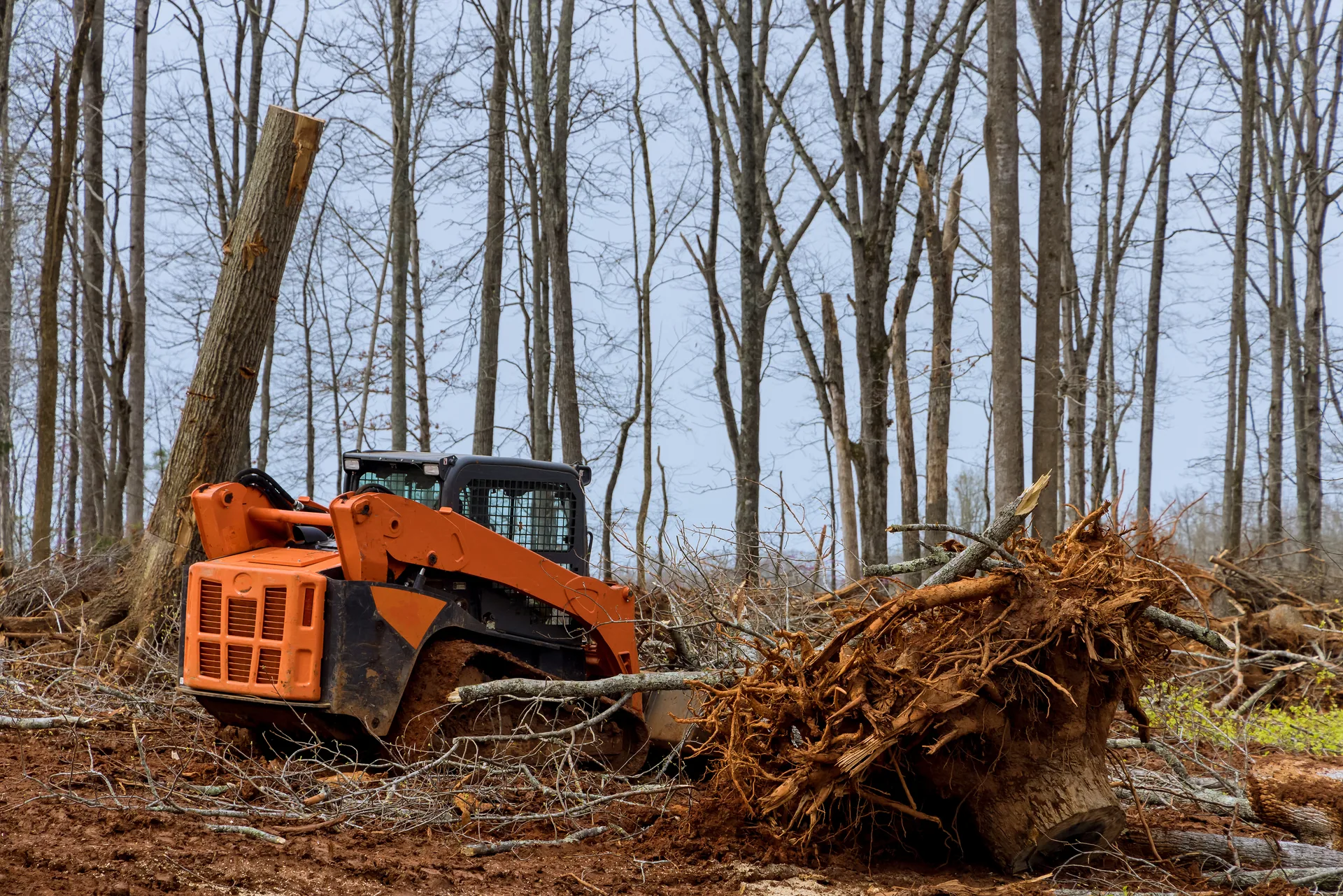 Track loader pulling stump land clearing