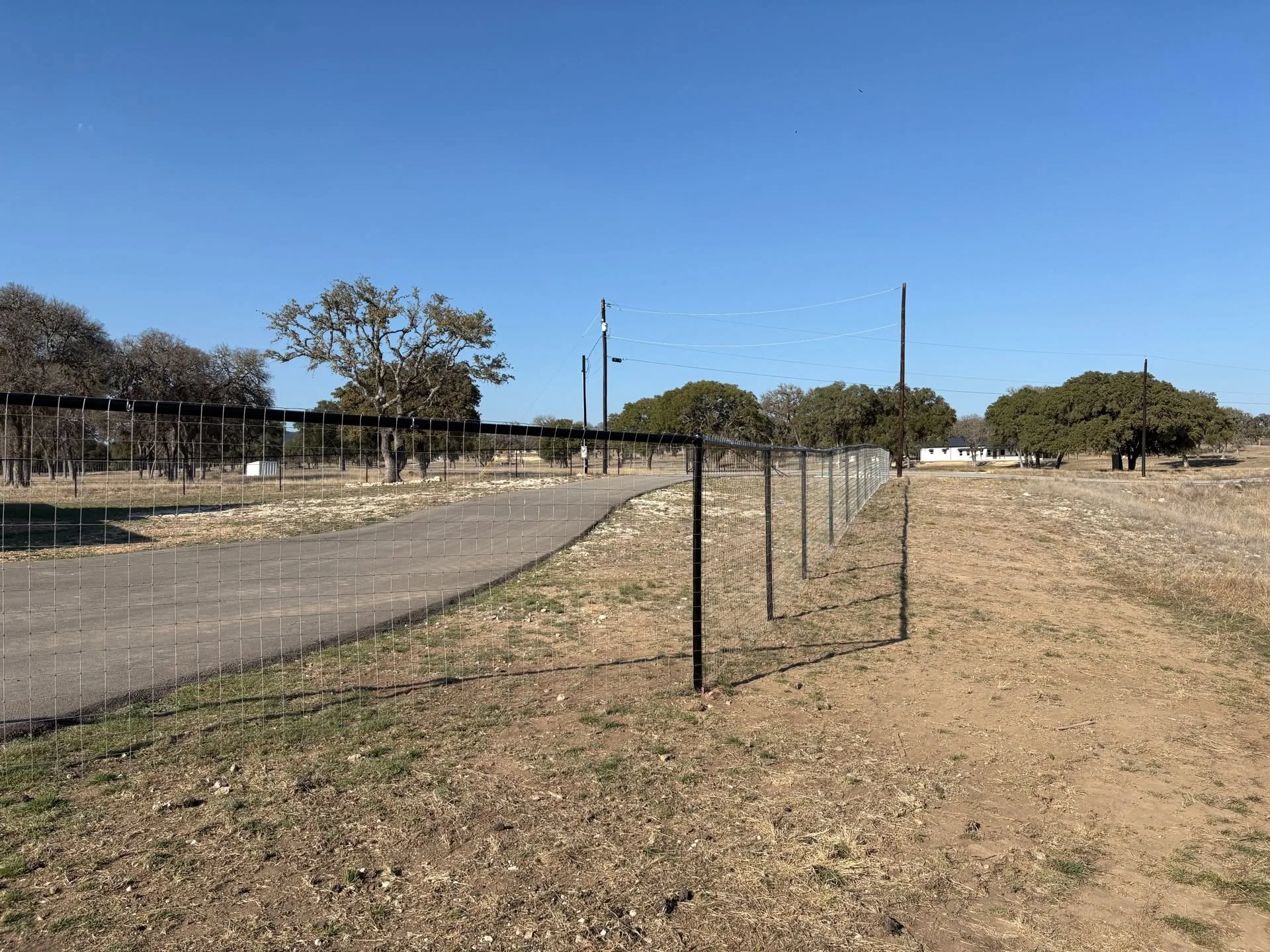Black pipe top rail woven wire fence along paved drive oak trees