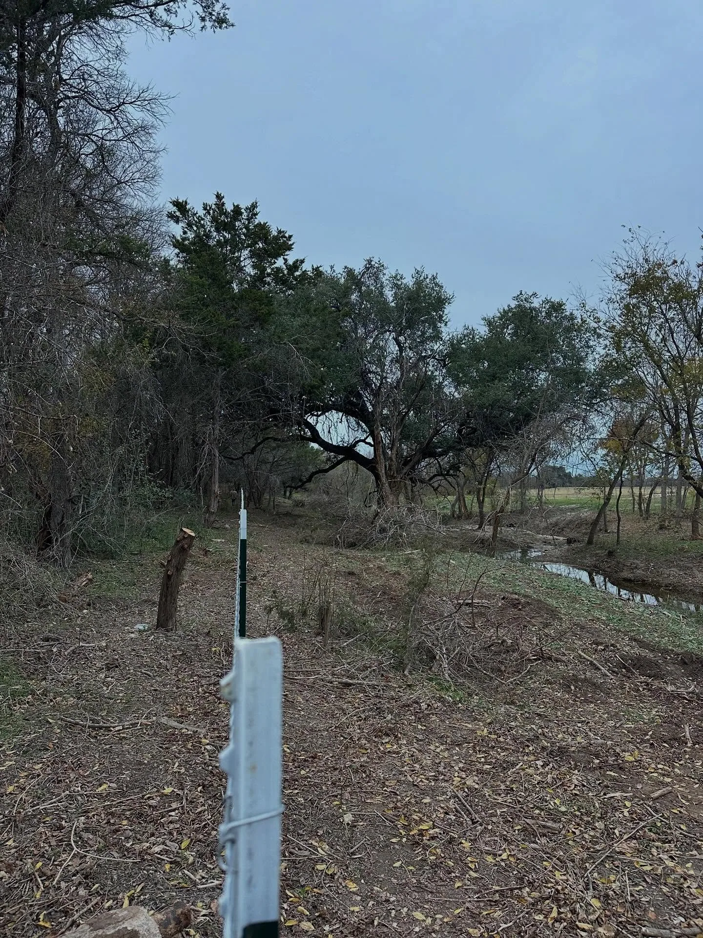 Cleared fence line t posts brush removal