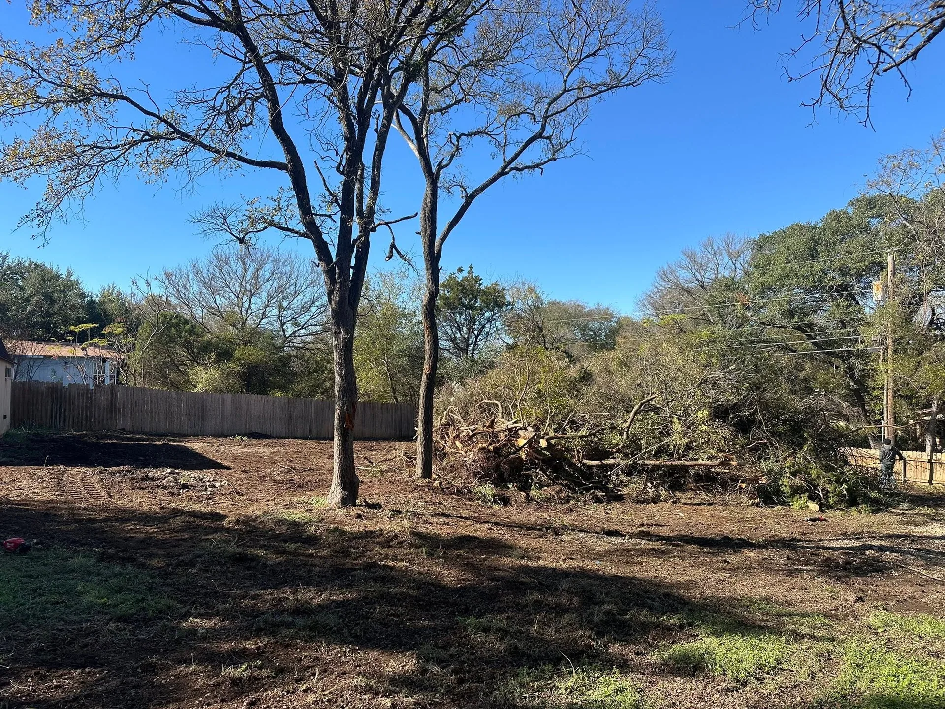 Cleared lot brush pile two trees land clearing