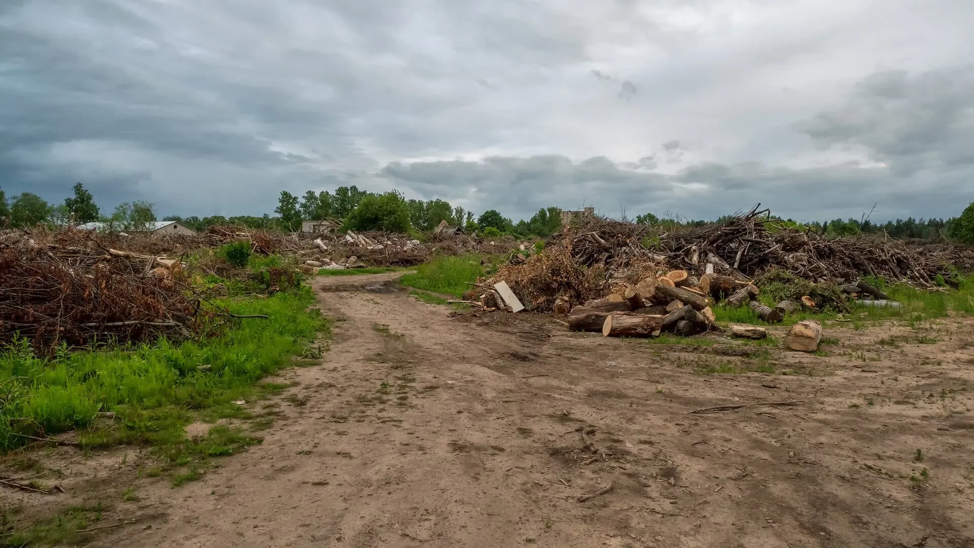 Dirt track brush piles cut logs cleared land