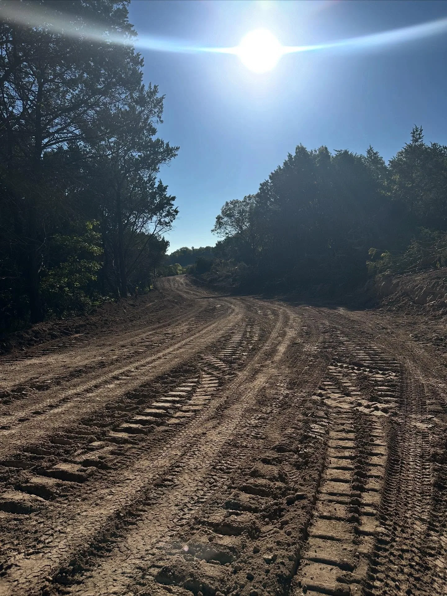 Freshly graded dirt road through cleared wooded lot