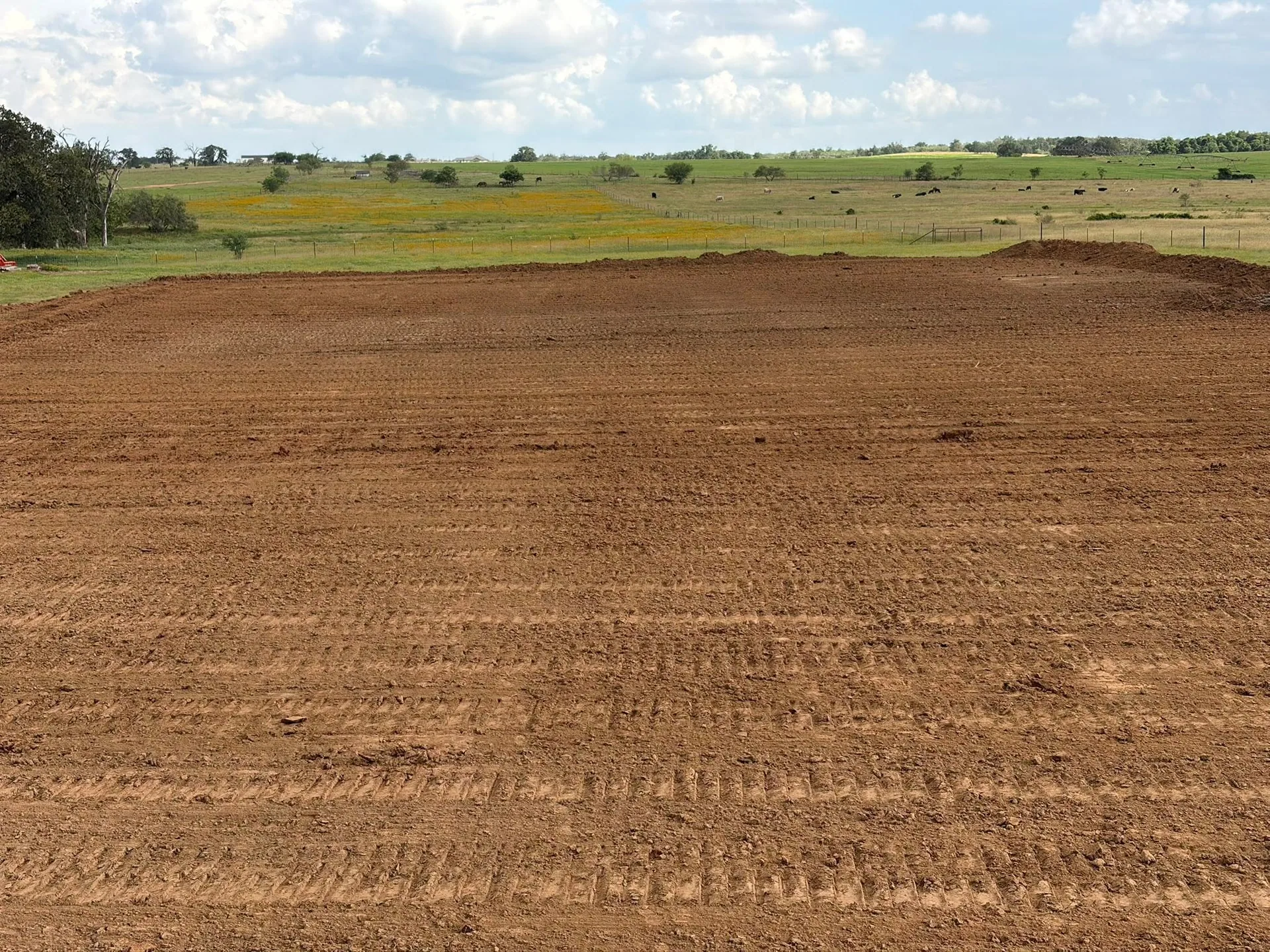 Graded red dirt building pad track marks cattle pasture wildflowers texas