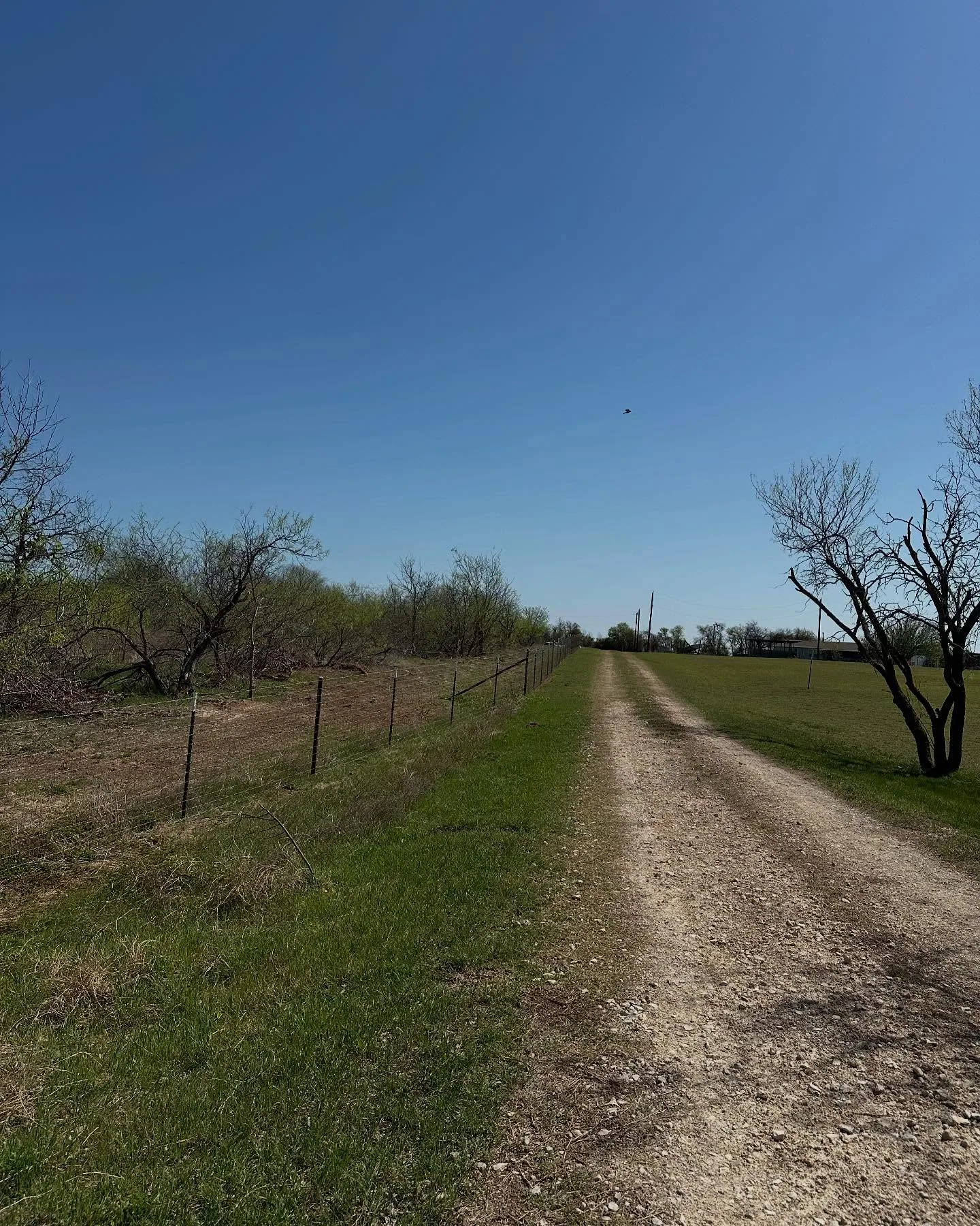 Gravel ranch road barbed wire fence cleared brush line