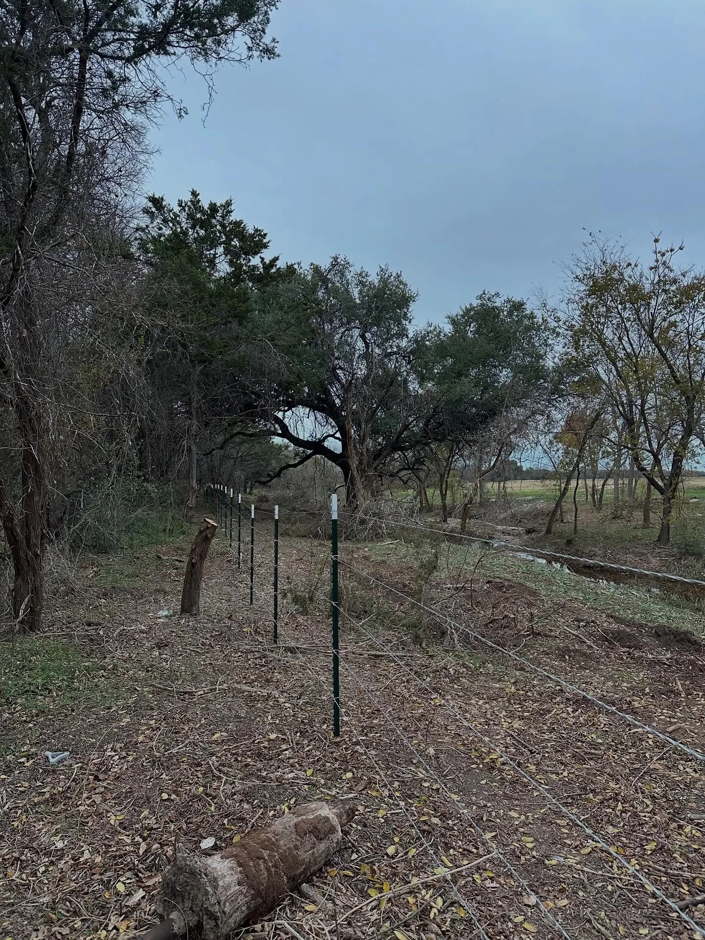 Green t post high tension wire fence line cleared tree edge