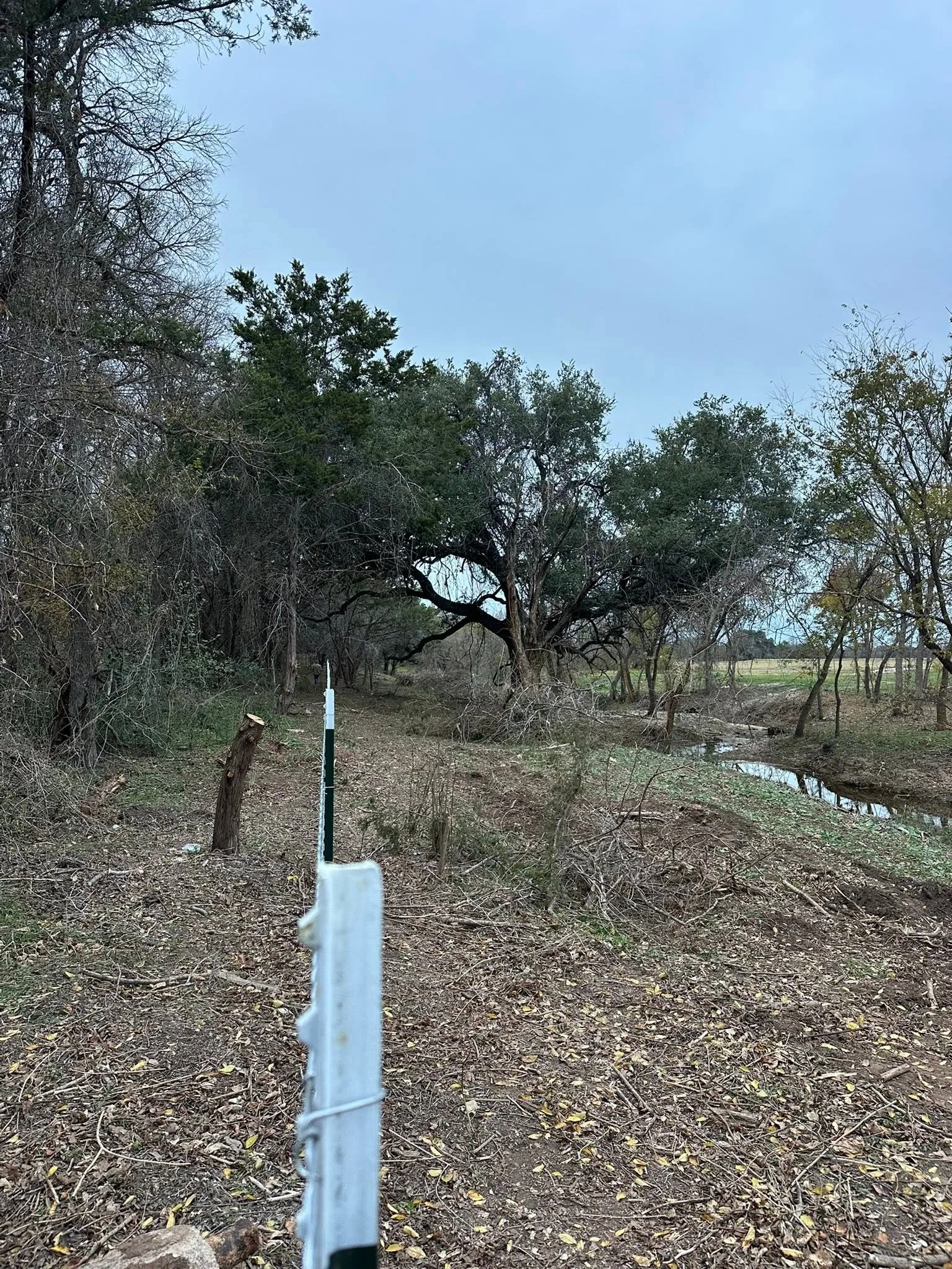 White fence post cleared creek bank brush removal oak trees central texas